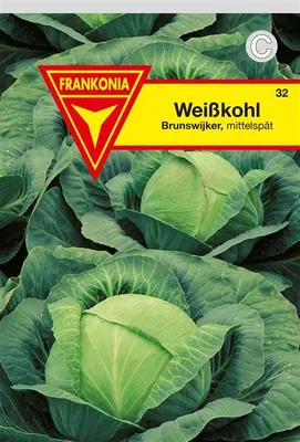 Produktbild von Weißkohl Brunswijker spät