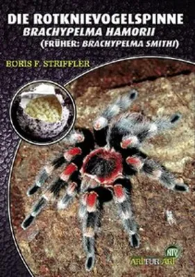 Zdjęcie produktu dla Die Rotknie Vogelspinne