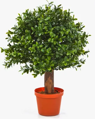 Produktbild von artplants.de Künstliche Buchskugel Tom auf Stamm, 250 Blätter, 35cm, Ø 25cm - Künstlicher Buchsbaum Buxkugel Buchsbaumkugel