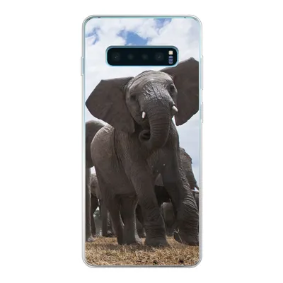 Produktbild von MuchoWow® Handyhülle Schutzhülle Hülle für Samsung Galaxy S10 Plus Elefant - Tiere - Natur - Flachland Silikon Softcase Handy Hülle - Schutzhülle