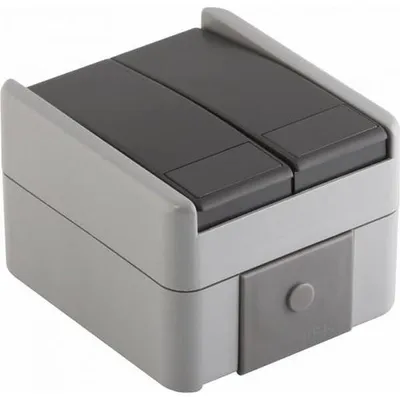 Image de TEM SF50GY, Boîtier, Gris, IP44, Double, Murale, 1 pièce