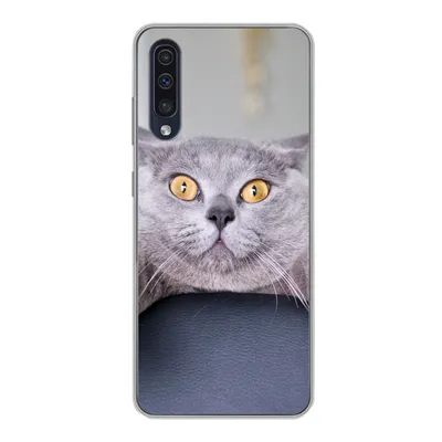 Produktbild von MuchoWow® Handyhülle Schutzhülle Hülle für Samsung Galaxy A30s Katze - Angst - Stuhl Silikon Softcase Handy Hülle - Karteninhaber
