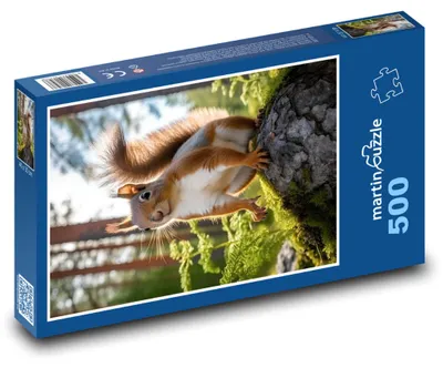Obrázok produktu pre martinpuzzle – Puzzle 500 – Vevericka