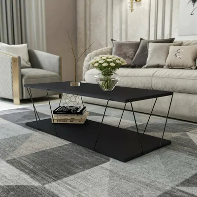 Immagine prodotto di Dmora Tavolino da Salotto Sarika 50x120x30h cm Nero, un Vano Portariviste