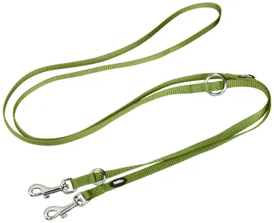Image de Nobby Laisse de présentation "Classic" L : 200 cm, l : 10 mm vert tilleul