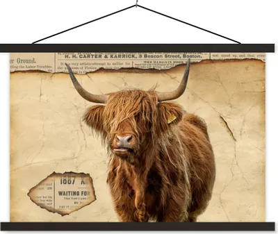 Produktbild von MuchoWow® Textilposter Schottisches Hochlandrind - Retro - Zeitungsartikel 90x60 cm mit schwarzem Rahmen - Aufhängungssatz