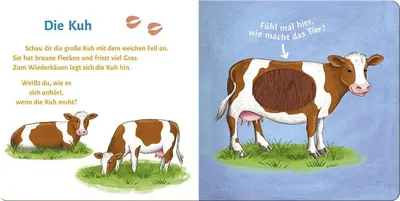 Image de Sound- und Fühlbuch Bauernhof (mit 6 Sound- und Fühlelementen)