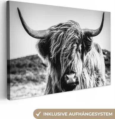 Obrázek produktu pro OneMillionCanvasses® - Plátno - Skotský horal - Příroda - Kráva - Černá - Bílá, nástěnná malba, nástěnné dekorace obrázky do obývacího pokoje, 120x80cm