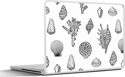 Produktbild von MuchoWow® Laptop Aufkleber Sticker Cover Muscheln - Meer - Sommer - Koralle 30x22 cm - Laptop-Sticker