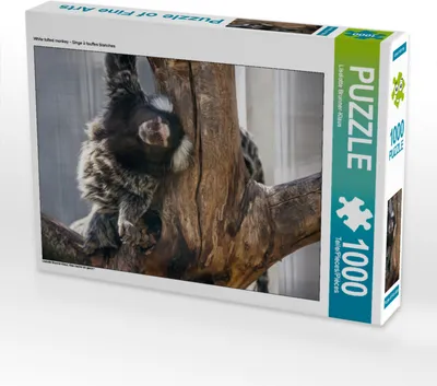 Produktbild von CALVENDO Puzzle  | 1000 Teile Lege-Größe 64x48cm Foto-Puzzle für glückliche Stunden