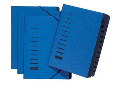 Immagine prodotto di PAGNA 24122-02 Organizer, DIN A4, cartone, 12 scomparti, blu