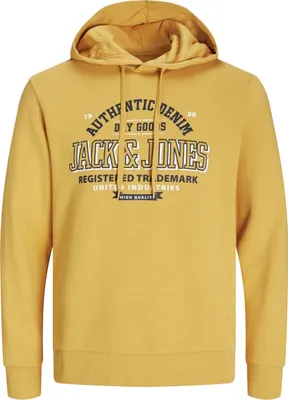 Produktbild von Jack & Jones Kapuzenpullover LOGO Hoodie