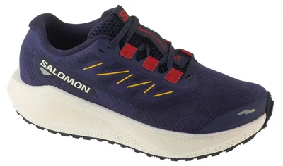 Productafbeelding van Salomon Aero Blaze 3 GRVL hardloopschoenen, maat 38 2/3