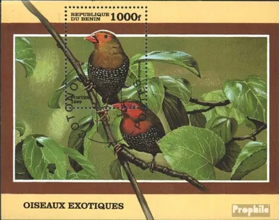 Produktbild von Briefmarken Benin 1999 Mi Block54 (kompl.Ausg.) gestempelt Einheimische Vögel
