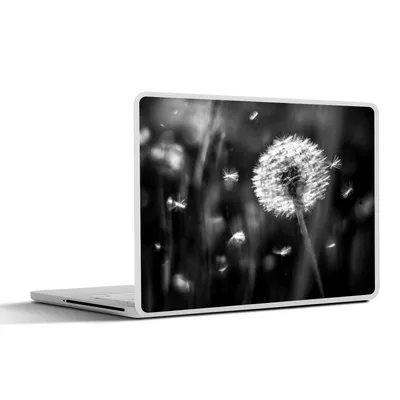 Produktbild von MuchoWow® Laptop Aufkleber Sticker Cover Löwenzahn - Schwarz - Weiß - Pflanze 30x22 cm - Laptop-Sticker
