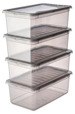 Zdjęcie produktu dla keeeper 3001982700000 keeeper zestaw pojemników do przechowywania "bea", 4x 5,6 L, kryształowo-szary