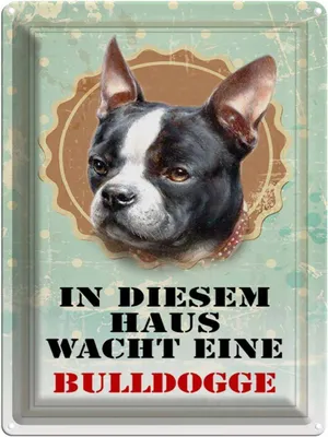 Produktbild von vianmo Blechschild 40x30 cm Hund Haus wacht eine Bulldogge