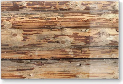 Produktbild von DEQORI Schneidebrett Glas 30x20 cm 'Muster der Natur' Schneideplatte Servierplatte groß