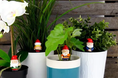 Produktbild von Freche Mini Gartenzwerge 4er Set Blumentopf Gartenfigur Beet Balkon Pflanzen