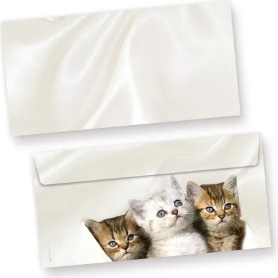 Produktbild von Briefumschläge Katzen (50 Stück) 3 Kätzchen
