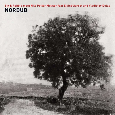 Zdjęcie produktu dla ImportCDs Nordub, Jazz, CD, Nośnik fizyczny, Dorosły, 1 dysków, 05/04/2018