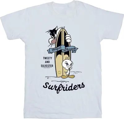 Obrázek produktu pro Looney Tunes - pánské tričko BI36441 (4XL) (Bílá)