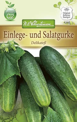 Produktbild von Einlegegurke Delikatess | Einlegegurkensamen von N.L. Chrestensen