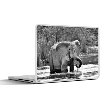 Produktbild von MuchoWow® Laptop Aufkleber Sticker Cover Badender Elefant - schwarz und weiß 30x21 cm - Sticker für Laptop - Selbstklebend