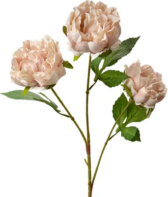 Produktbild von Clayre & Eef Kunstblume 80 cm Rosa Kunststoff