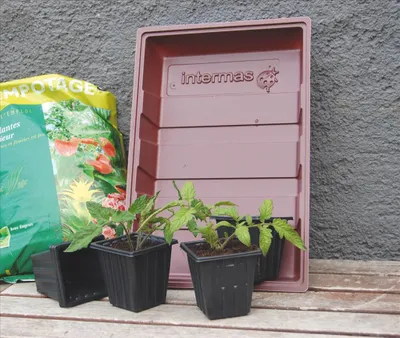 Image de 7 pots pour semis  NORTENE