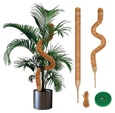 Produktbild von Moosstab für Monstera-Pflanzen, 2x60cm Biegsame Rankhilfe, Handgefertigte Kokosfaser-Stütze, Flexibel für Kletterpflanzen mit Zubehör, Pflanzenstütze für Innenbereich