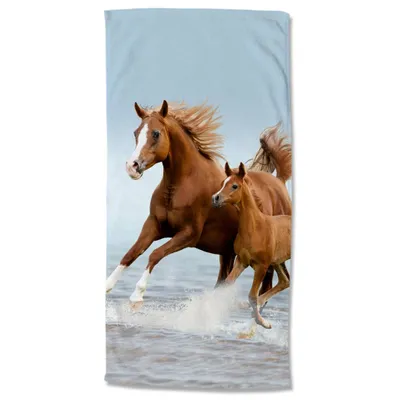 Obrázek produktu pro Plážová osuška Good Morning FREE 75x150 cm hnědá a modrá