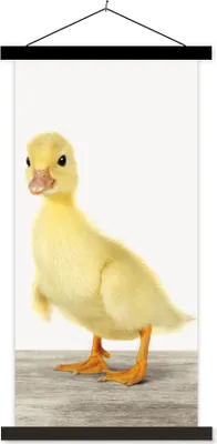 Produktbild von MuchoWow® Textilposter Ente - Küken - Tiere - Süß - Mädchen - Jungen - Kinder 60x120 cm mit schwarzem Rahmen - Magnete
