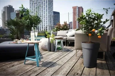 Image de Soucoupe de Plante Ronde, Elho Loft Urban Ø 30 cm, Gris Anthracite