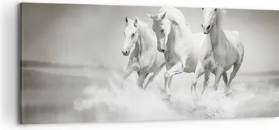 Produktbild von Bild auf Leinwand - Leinwandbild - Bauernhof pferde galopp freiheit - 120x50cm - Wand Bild - Wanddeko - Leinwanddruck - Bilder - Kunstdruck - Leinwand bilder - Wandkunst - AB120x50-2389