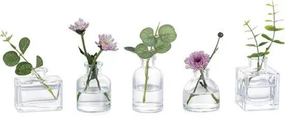 Productafbeelding van Famanu set van 5 mini-glazen vaasjes – Kleine bloemenvaasjes voor bloemen en stekken