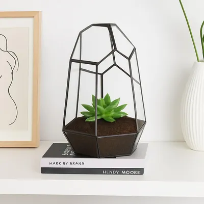 Obrázok produktu pre Geometrické sklenené terárium pre sukulenty, 25 cm