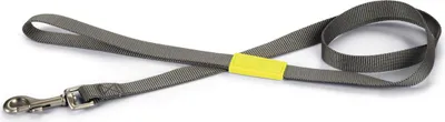 Image de Beeztees Uni - Laisse pour chien - gris foncé - 120 cm x 20 mm