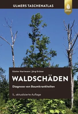 Image de Waldschäden