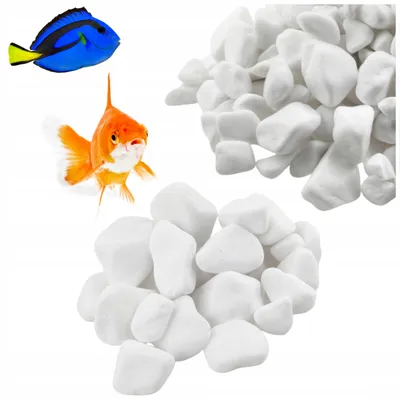 Immagine prodotto di Pietre per Acquario Otoczak Bianca 1 kg, rocce decorative naturali 4-8 cm per grotte e arredo acquario