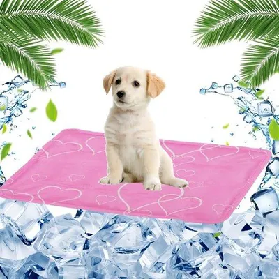 Produktbild von Famanu Kühlmatte 40 x 50 cm - für Hunde und Katzen