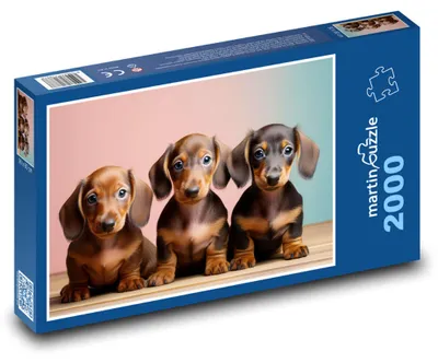 Obrázok produktu pre martinpuzzle - Puzzle 2000 - Ježkovci - štenatá