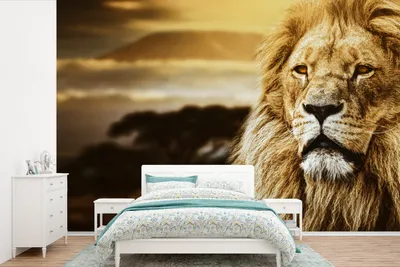 Produktbild von MuchoWow® Fototapete für Wohnzimmer oder Schlafzimmer Wandtapete Vinyl Motivtapete Wildes Tier - Sonnenuntergang - Afrika - 600x400 cm - Vinyltapeten