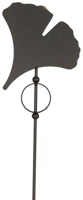 Image de Fiche de jardin Ginkgo noir