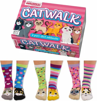 Produktbild von Oddsocks Catwalk Socken im 6er Set