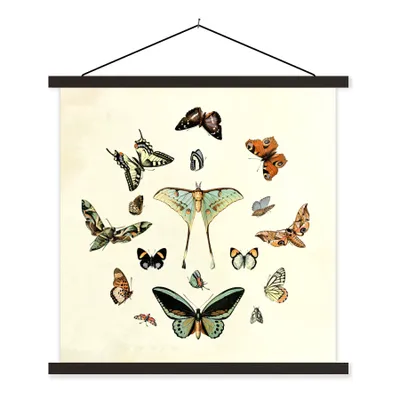 Produktbild von MuchoWow® Textilposter Schmetterling - Tiere - Vintage 120x120 cm mit schwarzem Rahmen - Aufhängungsset