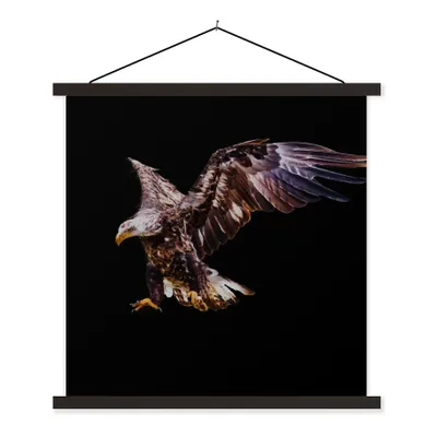 Produktbild von MuchoWow® Textilposter Adler - Vogel - Federn 60x60 cm mit schwarzem Rahmen - Posteraufhänger