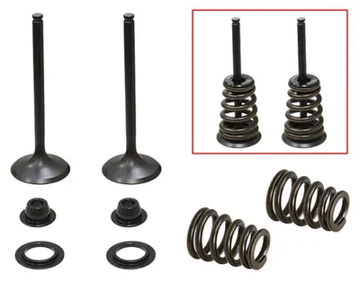 Productafbeelding van Complete set van ventielen met veren voor Husaberg- en KTM-motorfietsen, modeljaren 2000-2008
