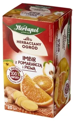 Productafbeelding van Fruitige kruidenthee met gember, sinaasappel en vlierbes, 20 theezakjes