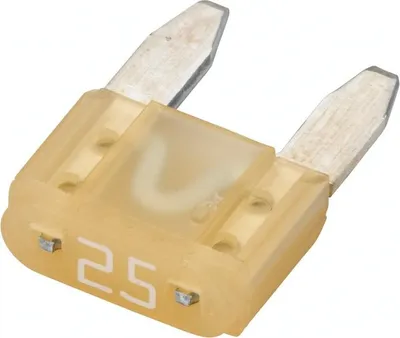 Image de Mini-Sicherungen 25A Bli5 8Js 728 596-87